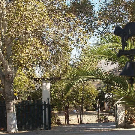 Pegasus & *