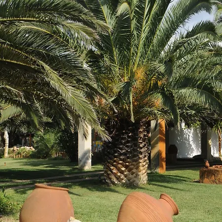 Pegasus & * Acherounes