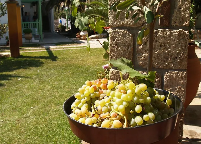 Pegasus & * Αχερούνες